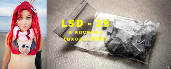 индика Алзамай