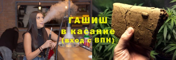 индика Алзамай