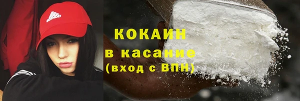 индика Алзамай