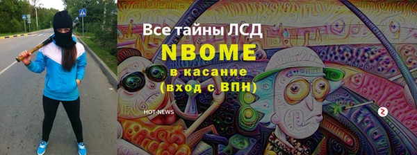 индика Алзамай