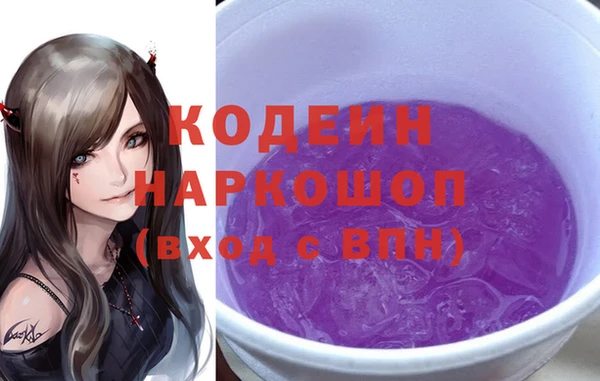 индика Алзамай
