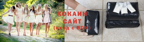 индика Алзамай